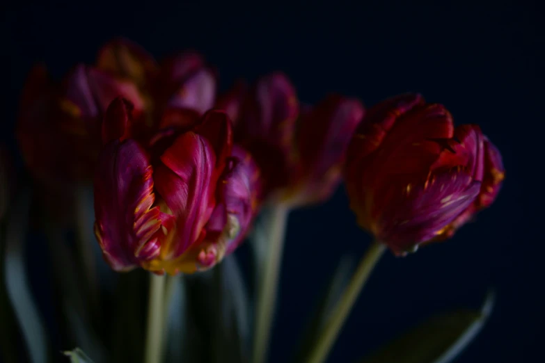 a bouquet of flowers in a small vase