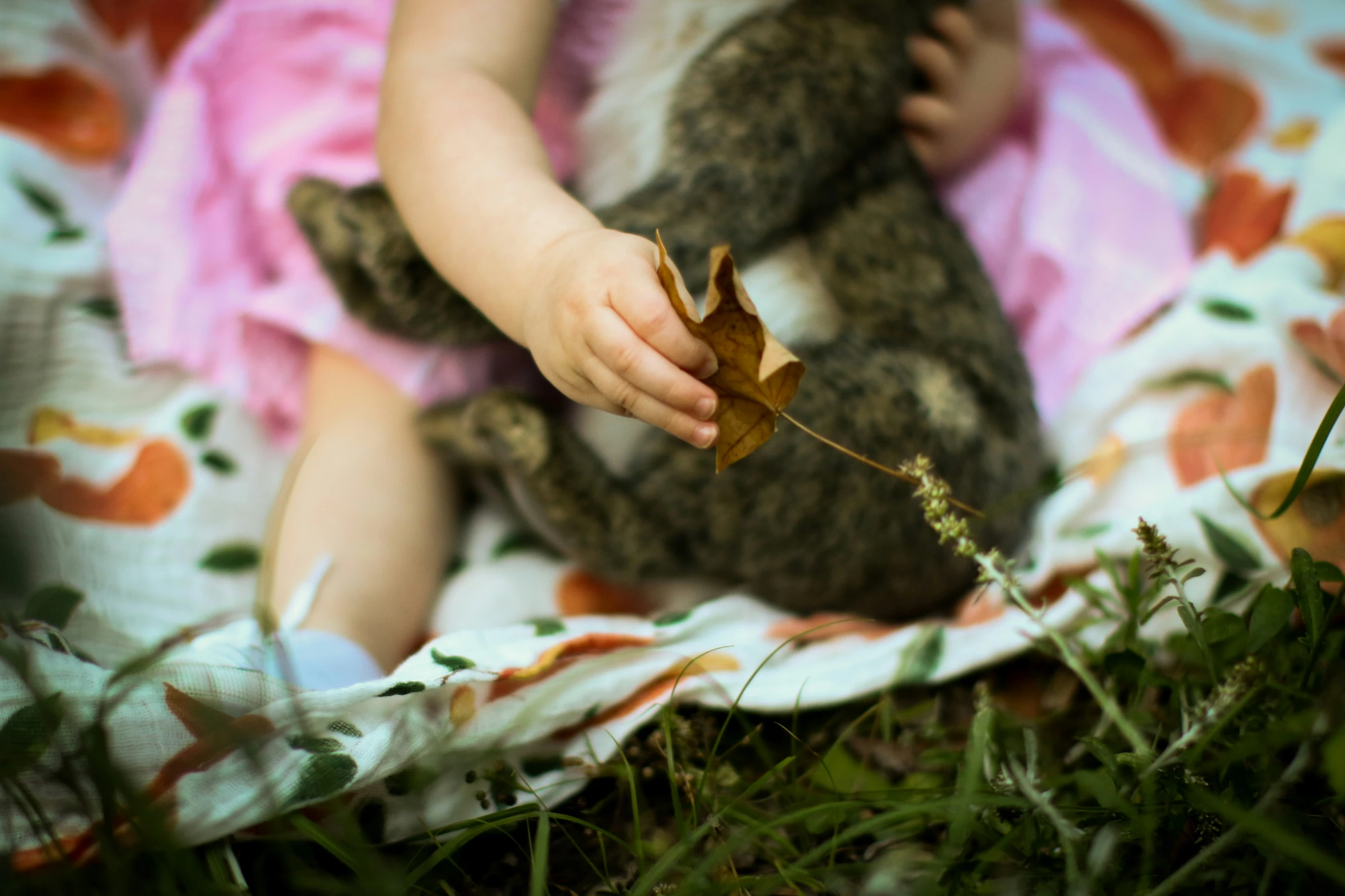 a girl laying in bed and petting a cat