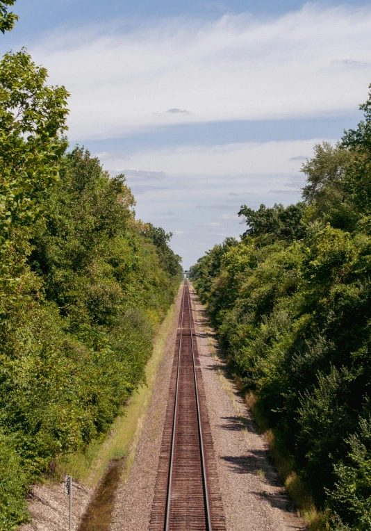 a railroad line running through some forested area