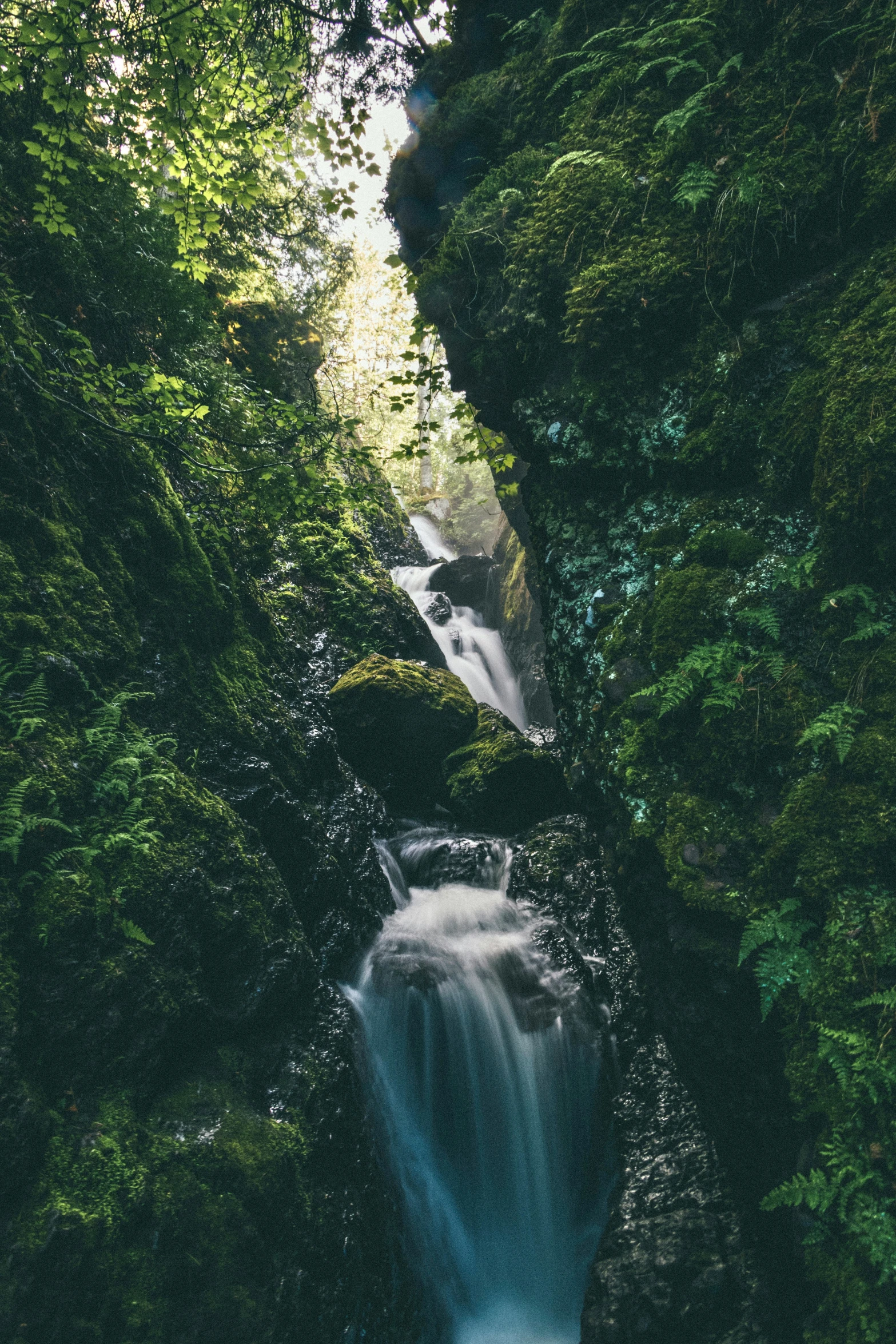 waterfall cascade and small pool in a lush green forest