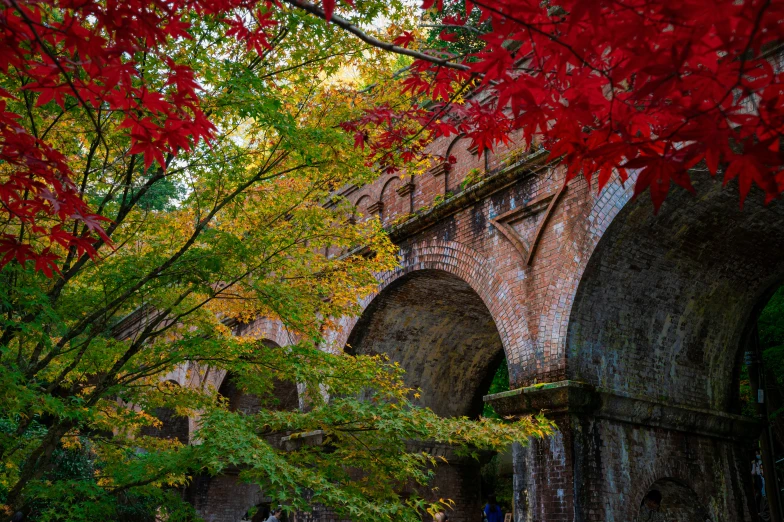 red leaves overhanging the stonework of a bridge