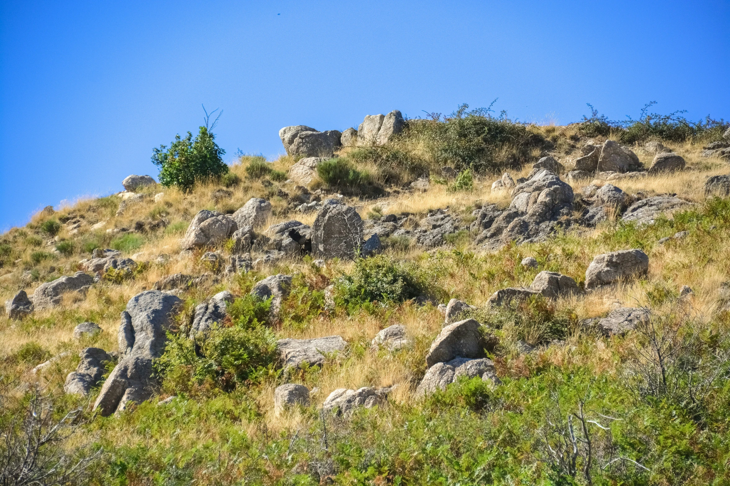 the view of a mountain with many rocks and grass