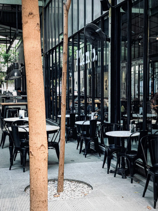 tables and chairs in the middle of an outdoor patio with a tall wooden tree