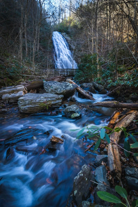 a waterfall in a forest is illuminated by blue lighting