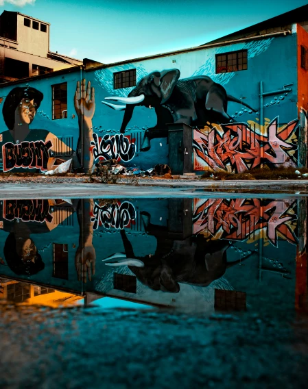 graffiti on a building has been painted with an elephant