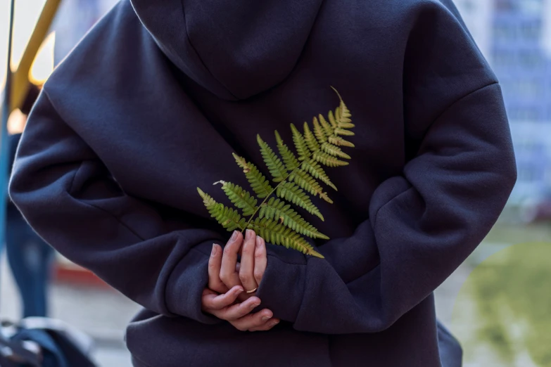 a person holding a fern plant up against a wall