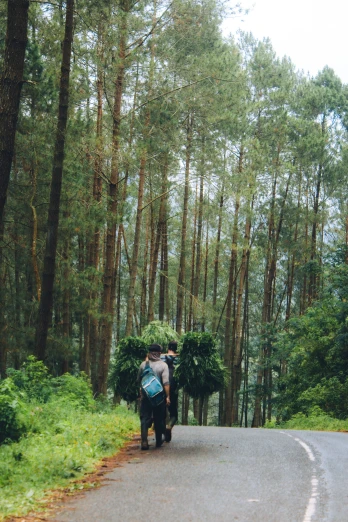 two people carrying tree nches on their back walking down a road