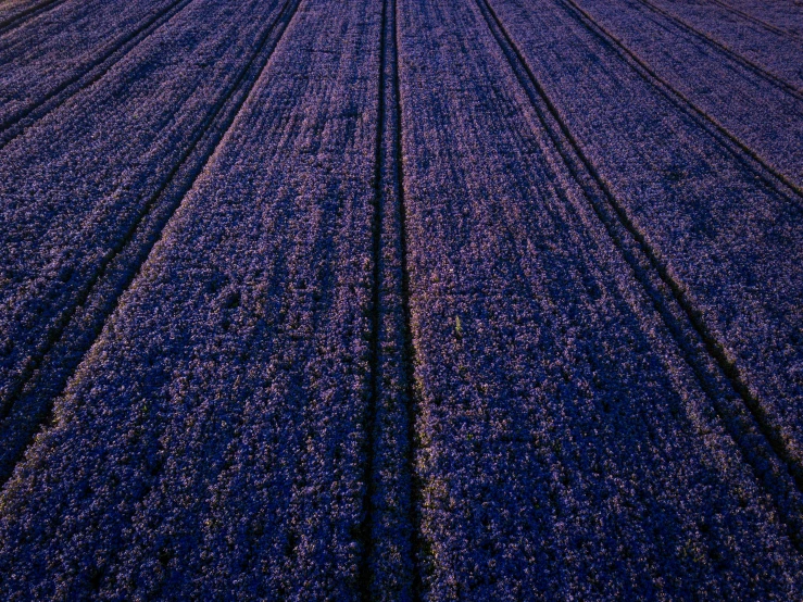 blue sky and farm land seen from above