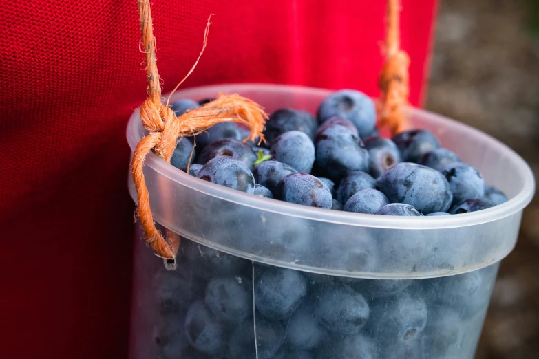 there is a plastic bowl full of blueberries