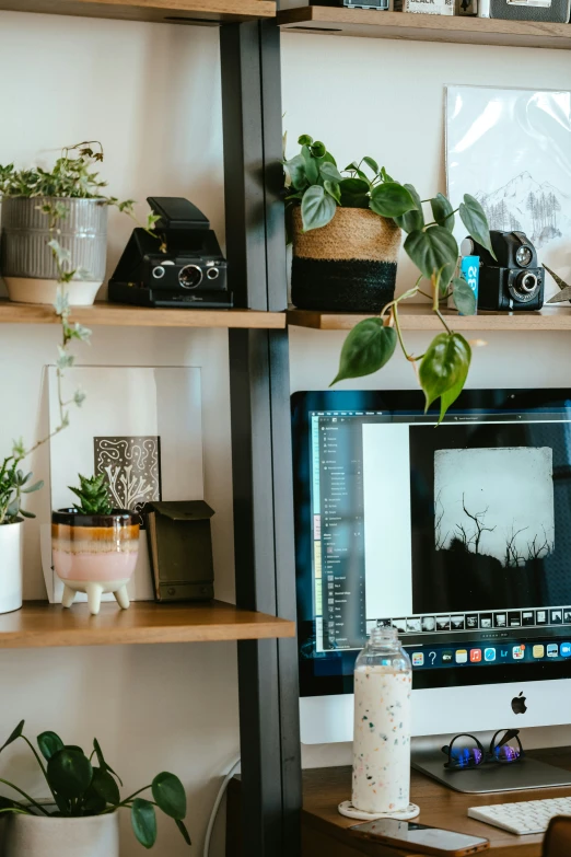 a desk that has plants on it