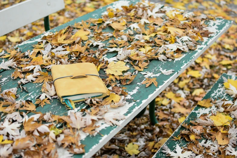 a green bench covered in leaves with a book on it