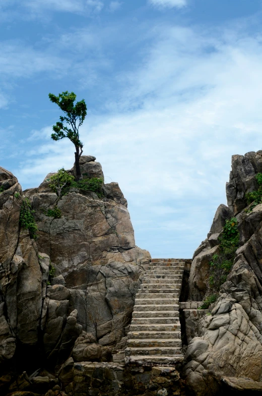 there is a lone tree in between two rock steps