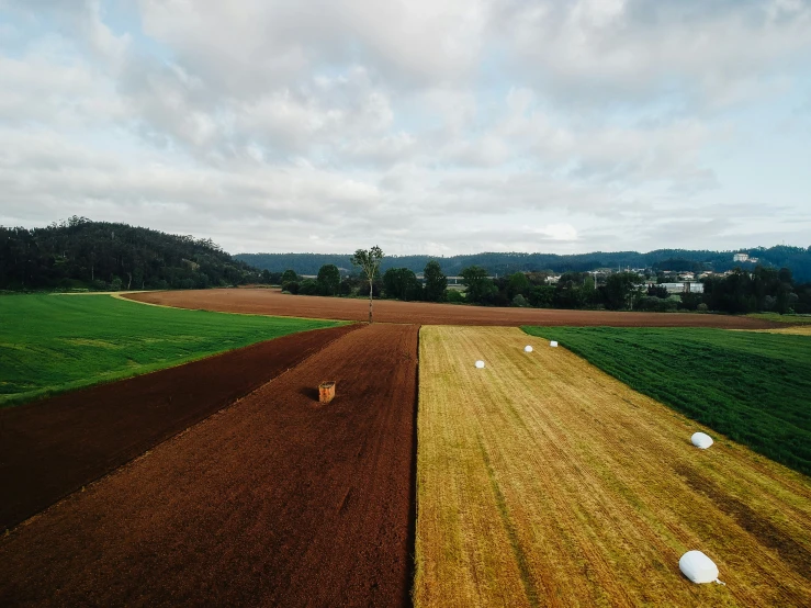 two color roads with different grass patterns