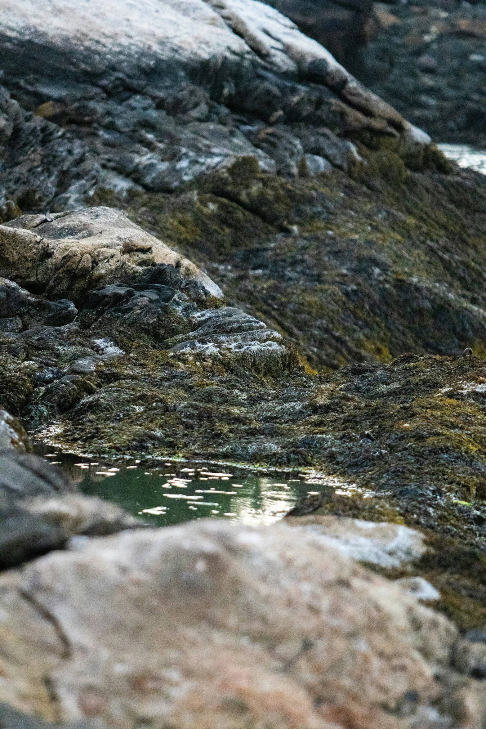 the image shows a brown, rocky outcrop with water in it