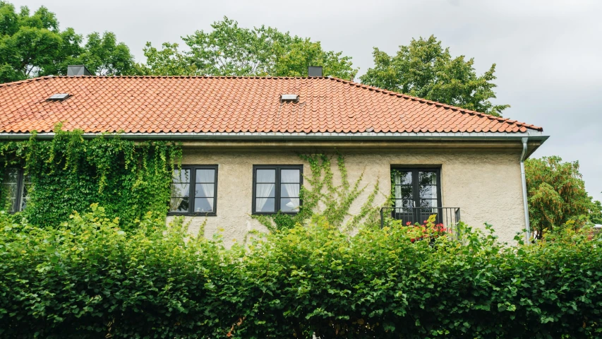 the house is very overgrown in front of trees