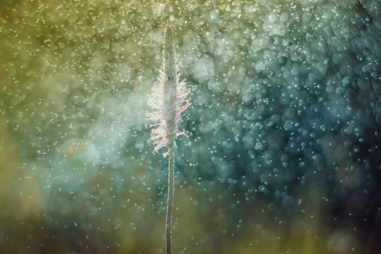 the green and yellow image of rain is seen