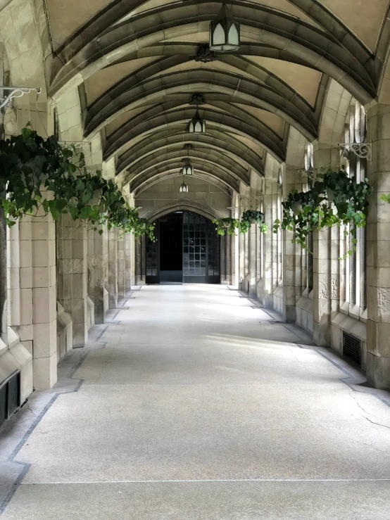 a long, empty walkway has white marble pillars and hanging plants