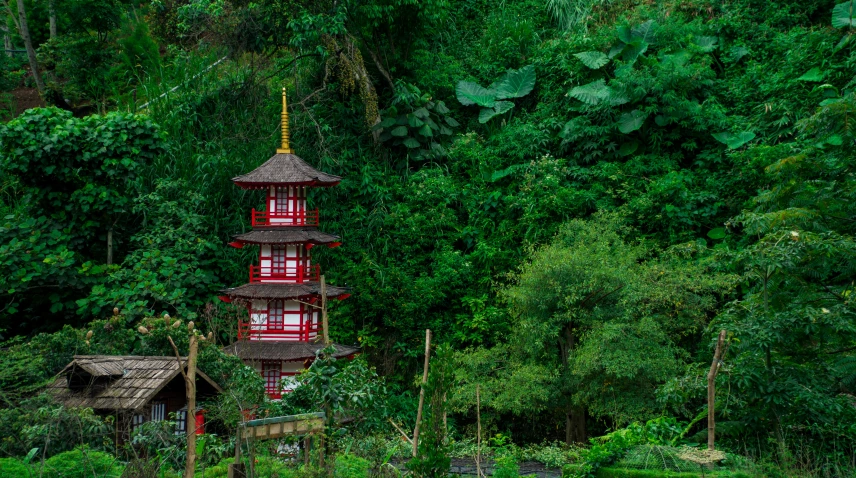 a pagoda that is standing out amongst the trees