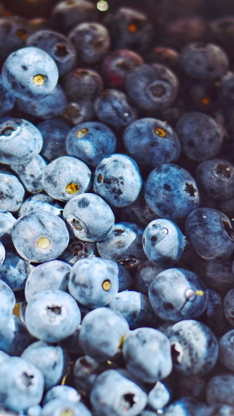 a bowl full of blueberries sitting on top of a table