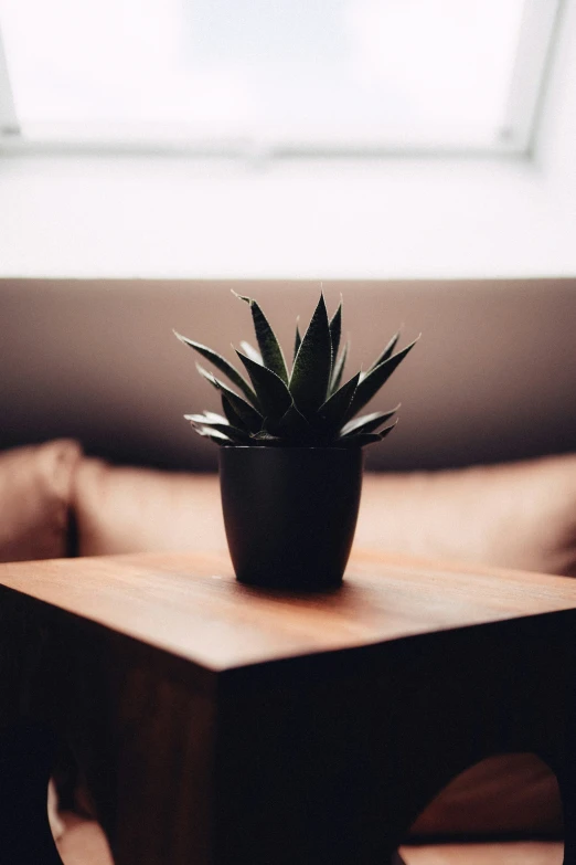 a small pineapple pot sitting on top of a wooden table