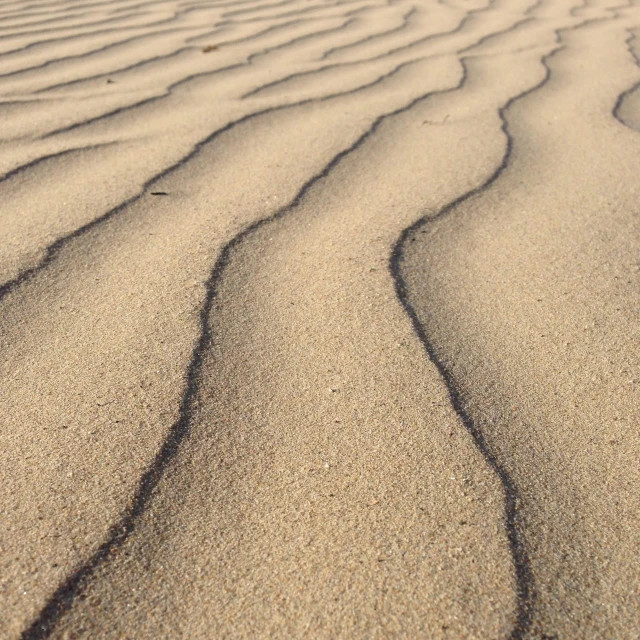 sand that is raked and lines with sand