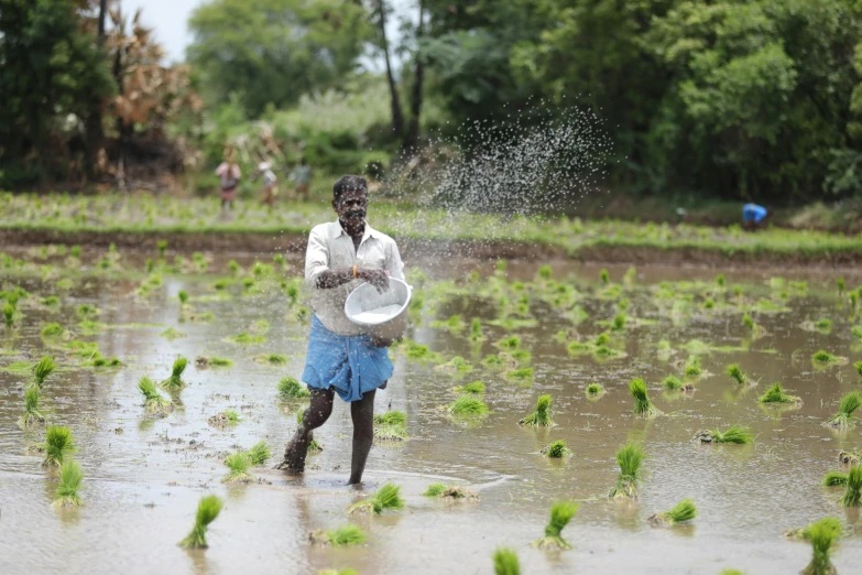 a man spraying water on crops in a flooded field