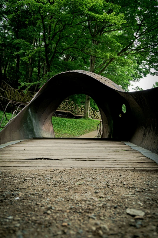 the view into the woods through a tunnel on a wooden walkway