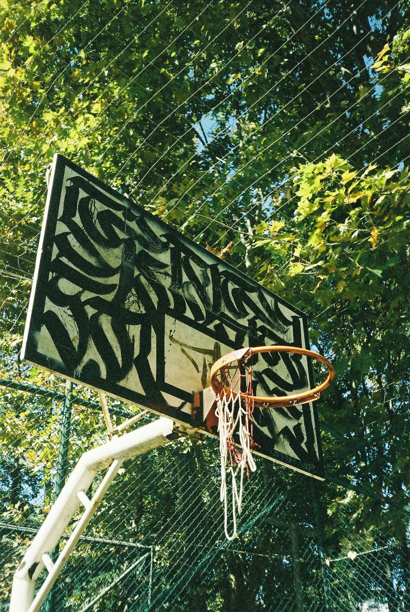 a basketball hoop decorated with ze print on the back