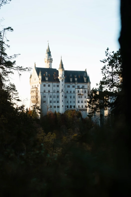 a view of an old castle with tall towers through some trees