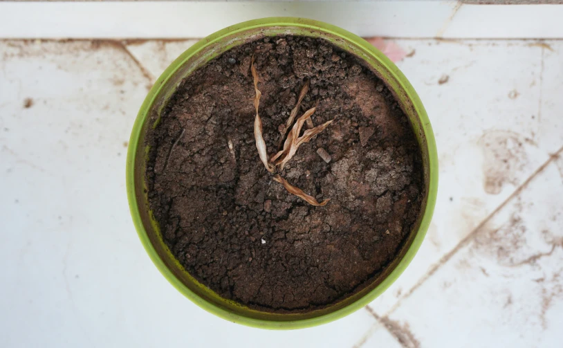 a green pot containing dirt with a single twig sticking out