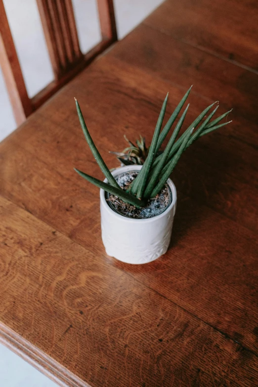 an indoor plant is sitting on a wooden table