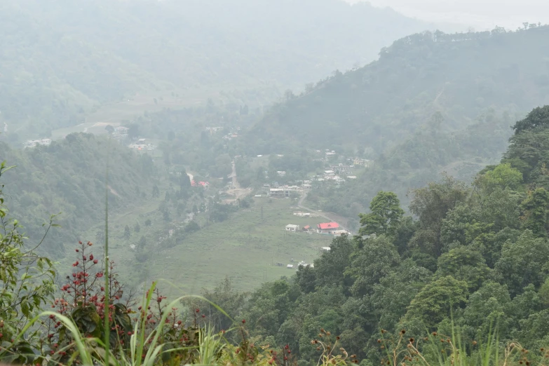 green mountains are covered with trees and buildings