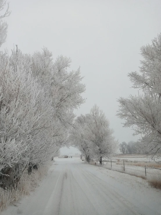 the road is covered with snow on a snowy day