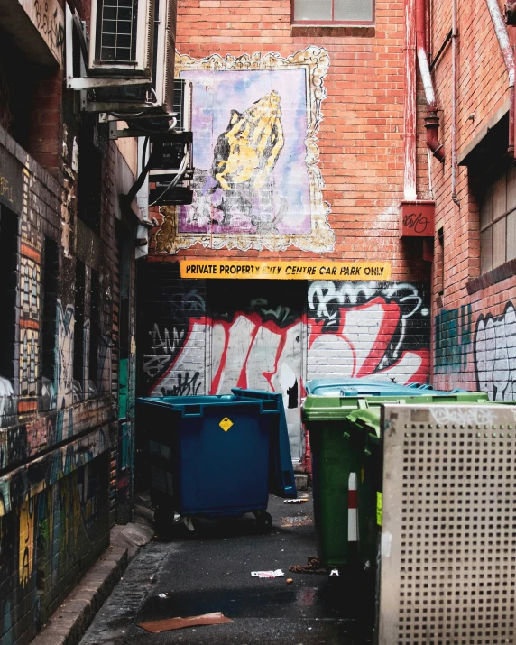 an alleyway with graffiti covered walls, trash cans and a sign