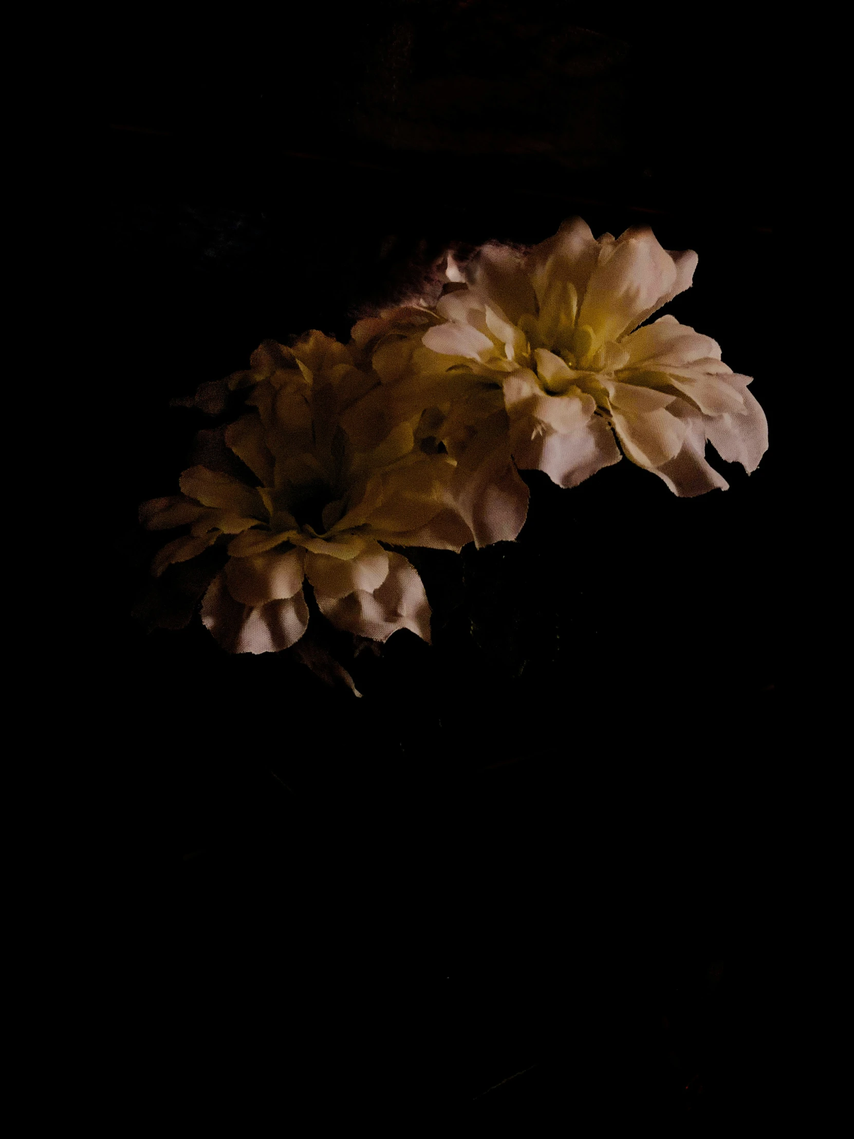 there is a vase with flowers on it in the dark