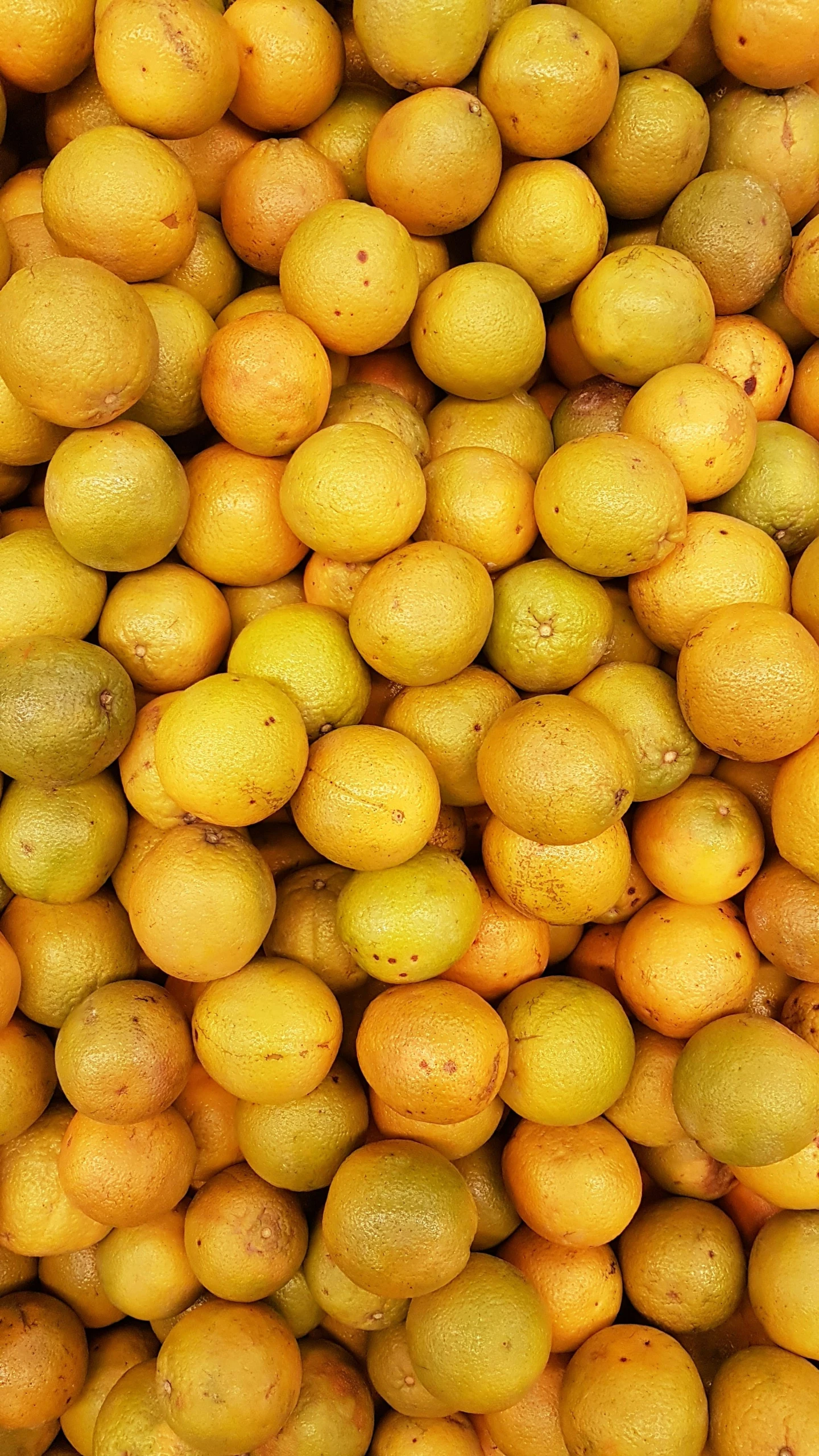 lemons and lemons are piled up in a large container