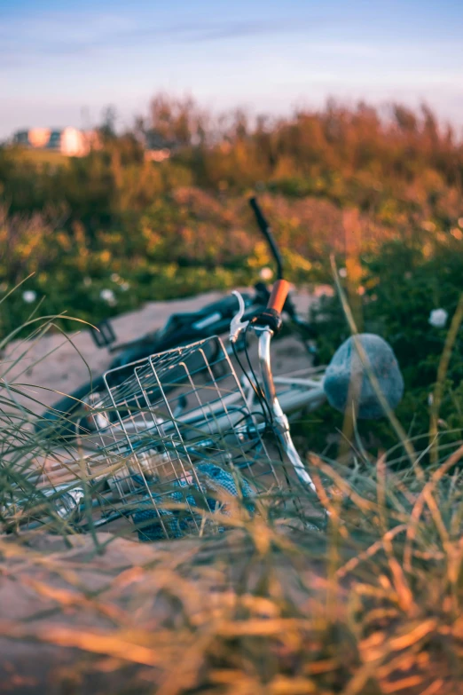 an old bicycle is propped up against the bushes