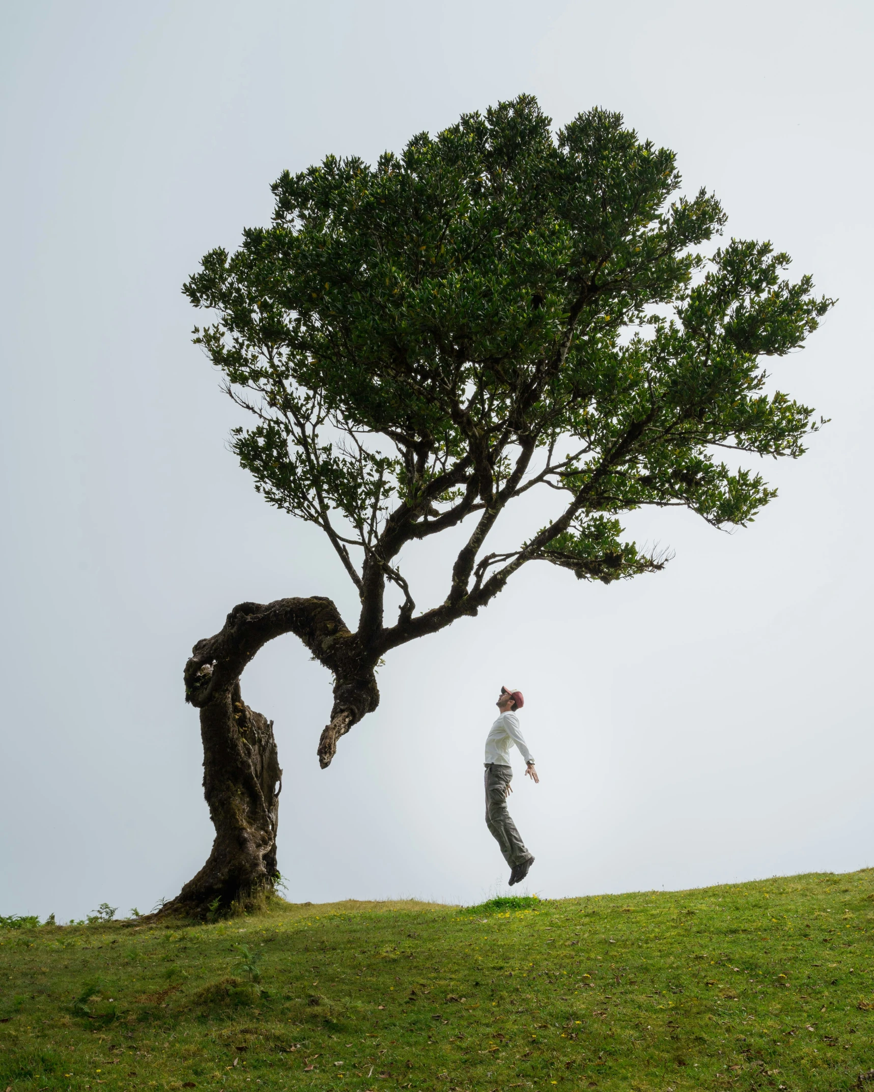 two people are in the distance while one stands on a hill as the other climbs up into a tree