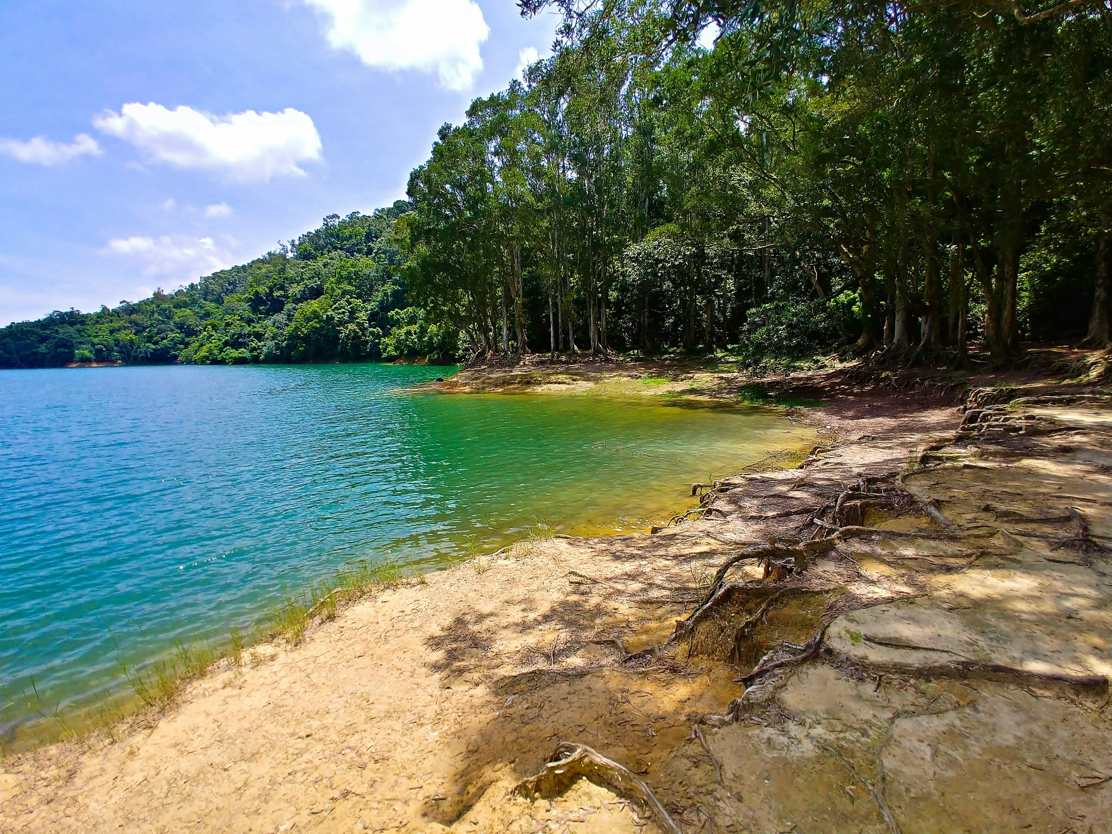 a body of water sitting between two trees