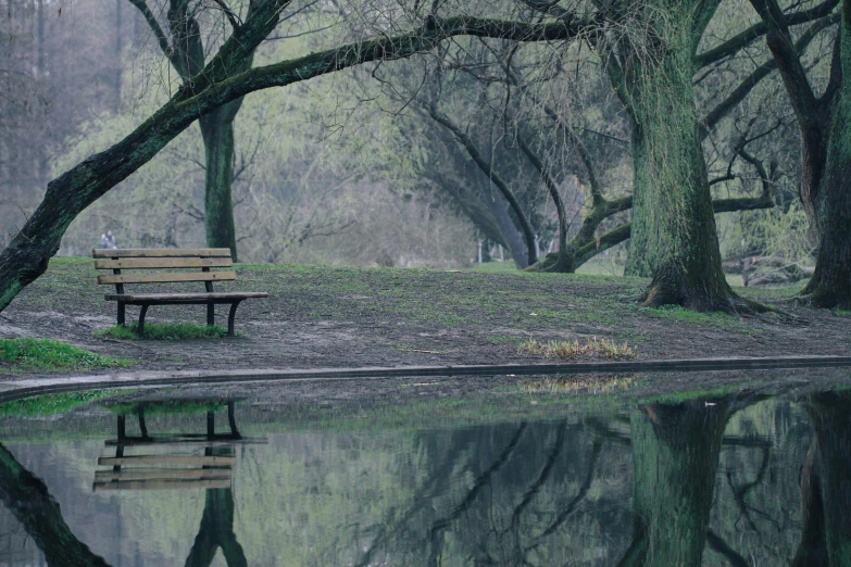 a bench next to a body of water surrounded by trees