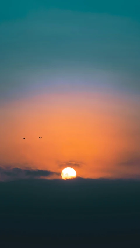 two birds flying in the sky while the sun is setting