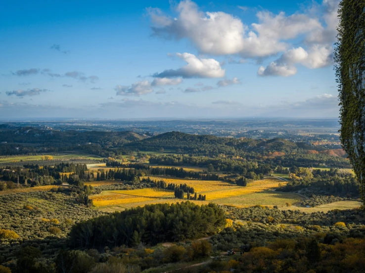 a view of the landscape with many different trees