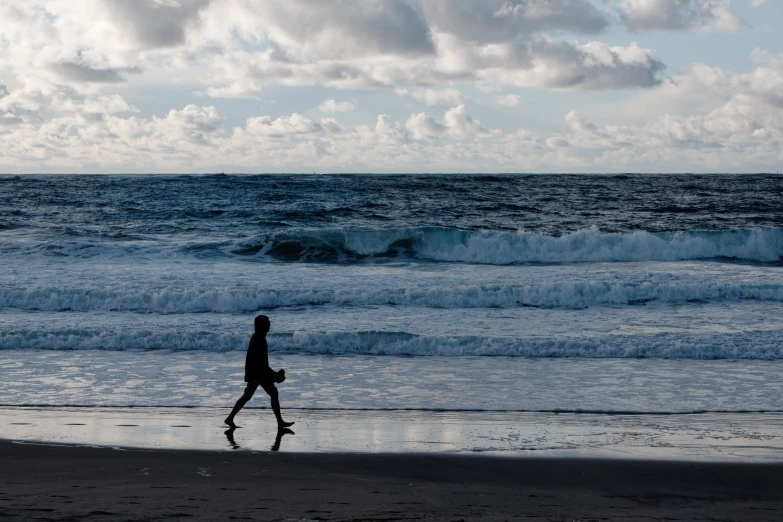 a person walking along the shore of a beach