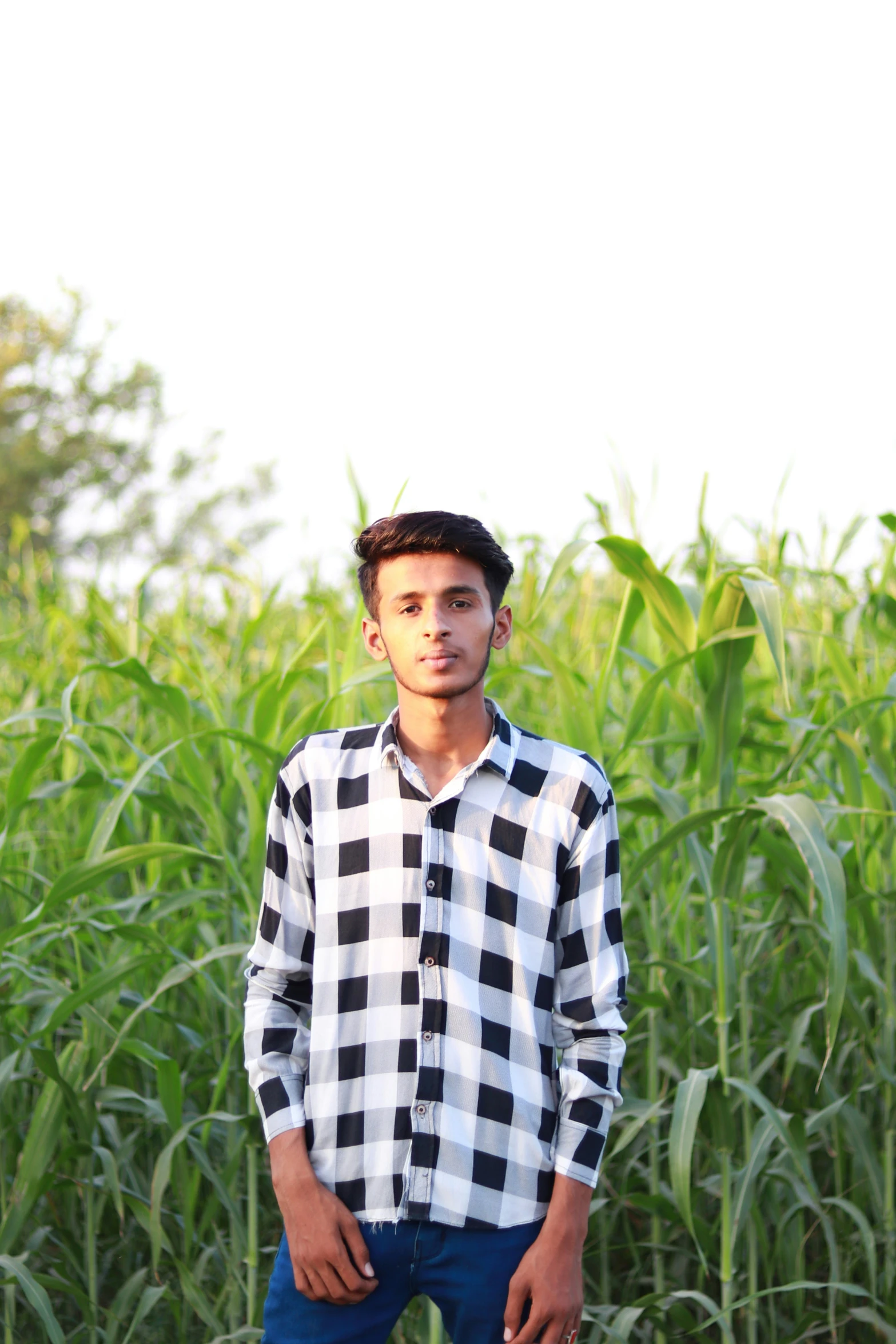 a man standing in front of a field of corn