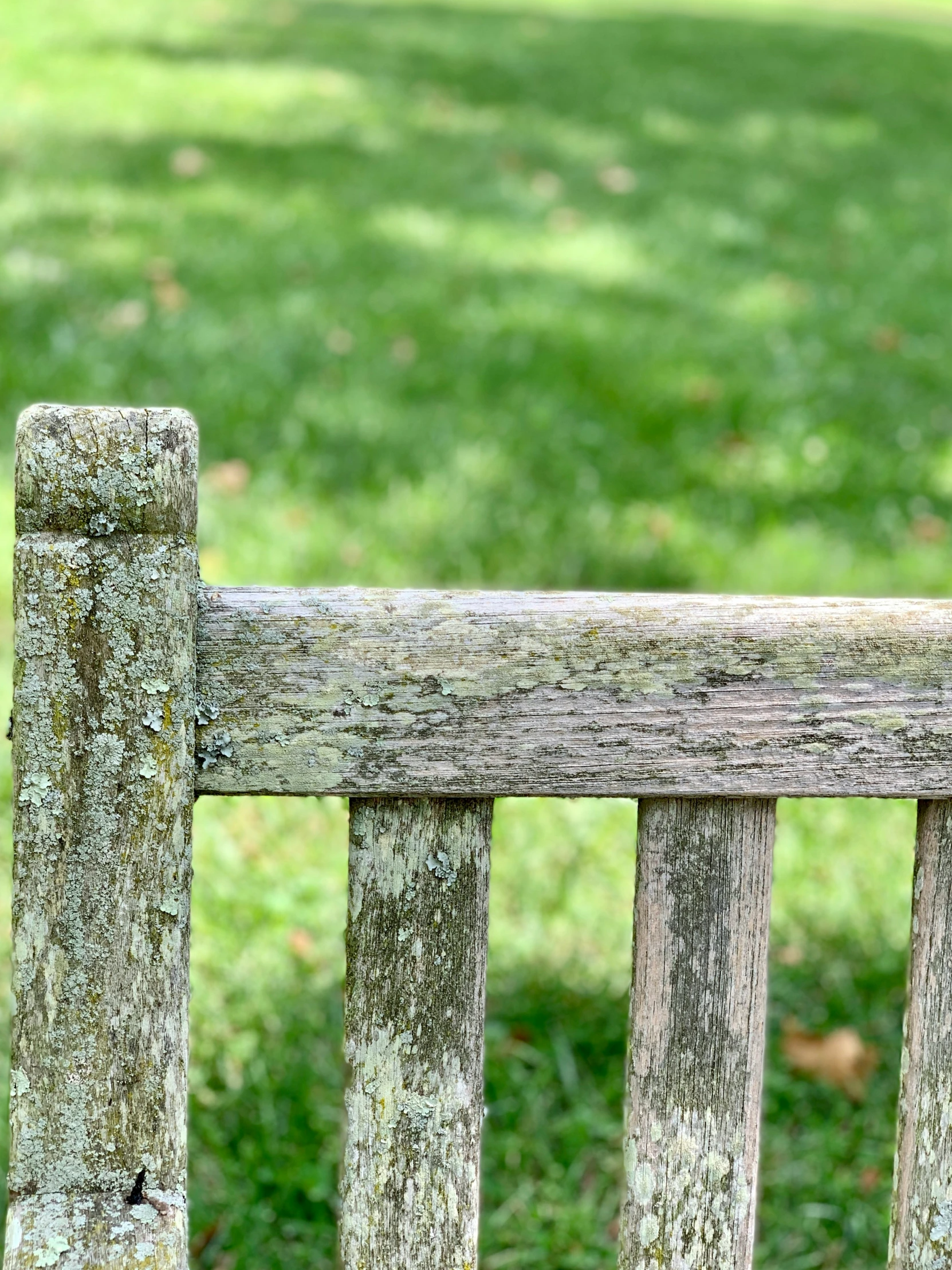 a wooden bench in the middle of a grassy field