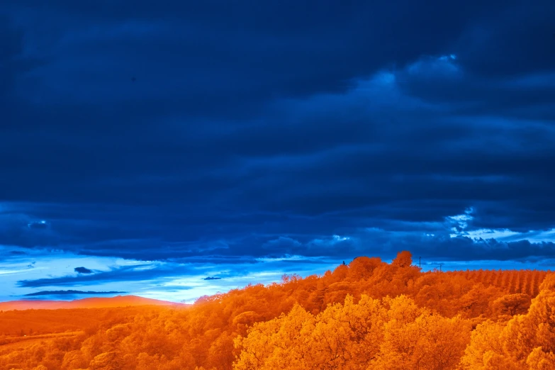 some very colorful trees by a hillside and sky