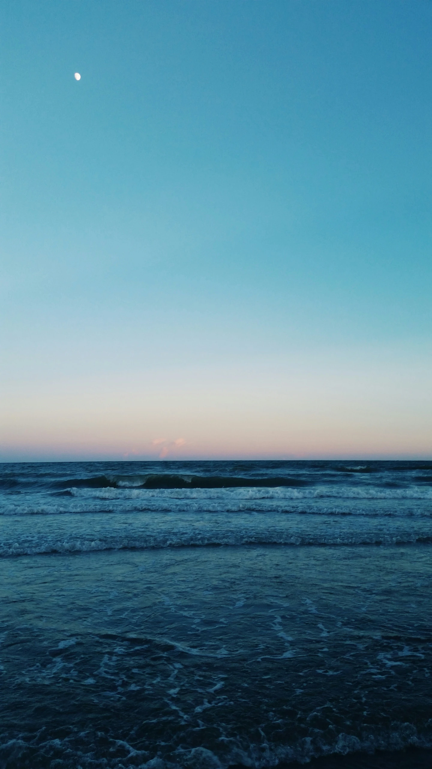 a bird is standing on the beach at sunset