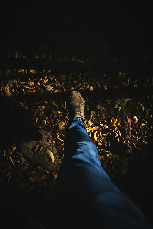 this is the dark picture of a foot walking in leaves