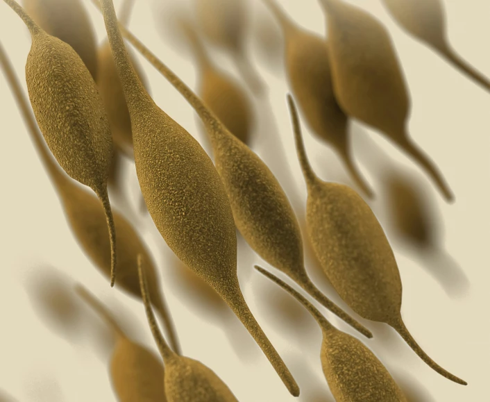 some leaf like material floating on top of water