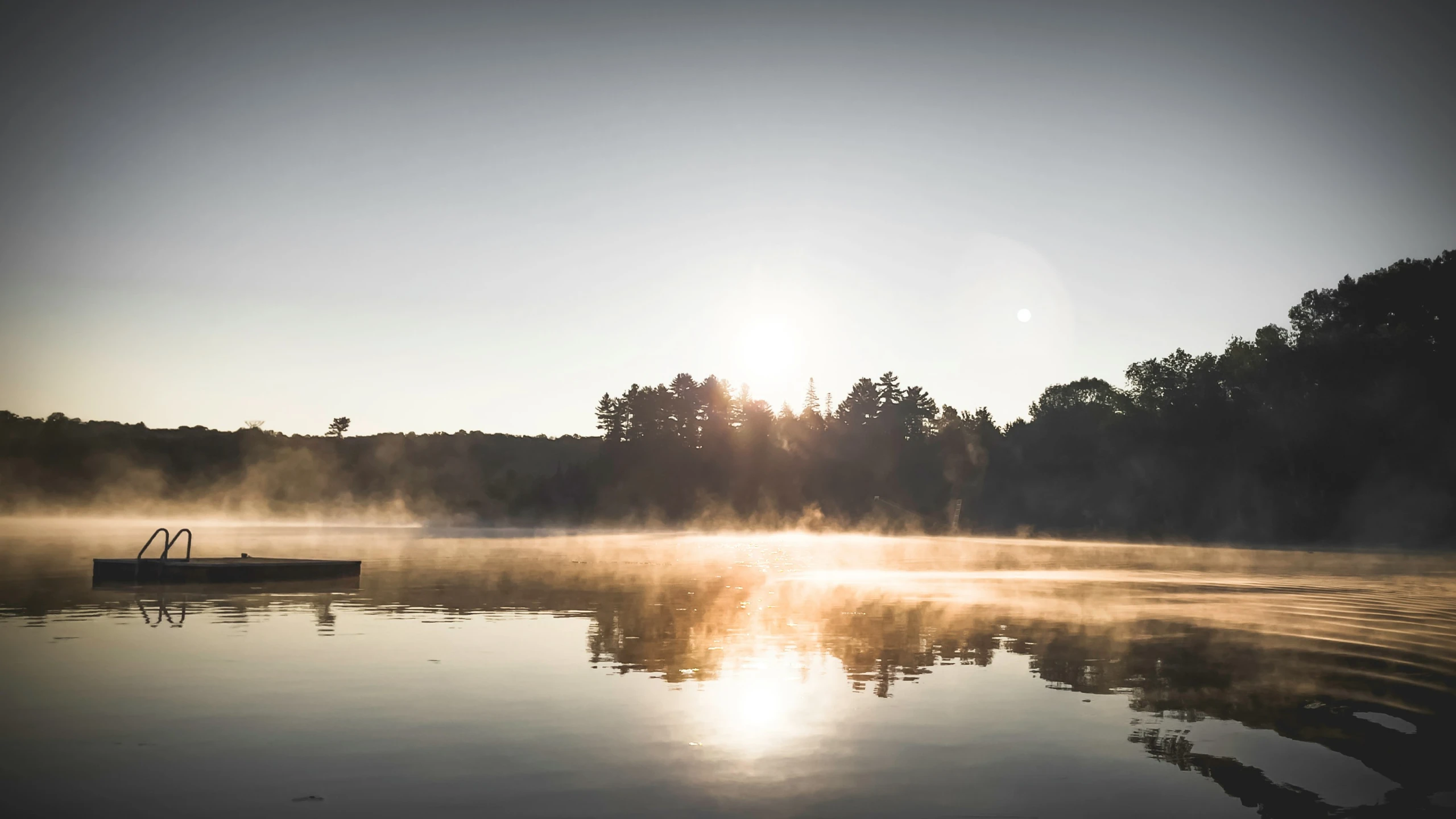 the sun shines through the foggy lake in the early afternoon